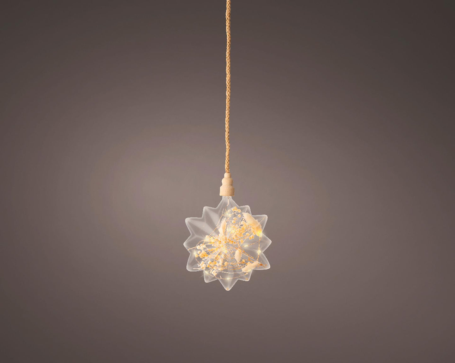 Lumineo Micro LED Stern mit Trockenblumen ø 19cm