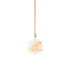 Lumineo Micro LED Stern mit Trockenblumen ø 19cm