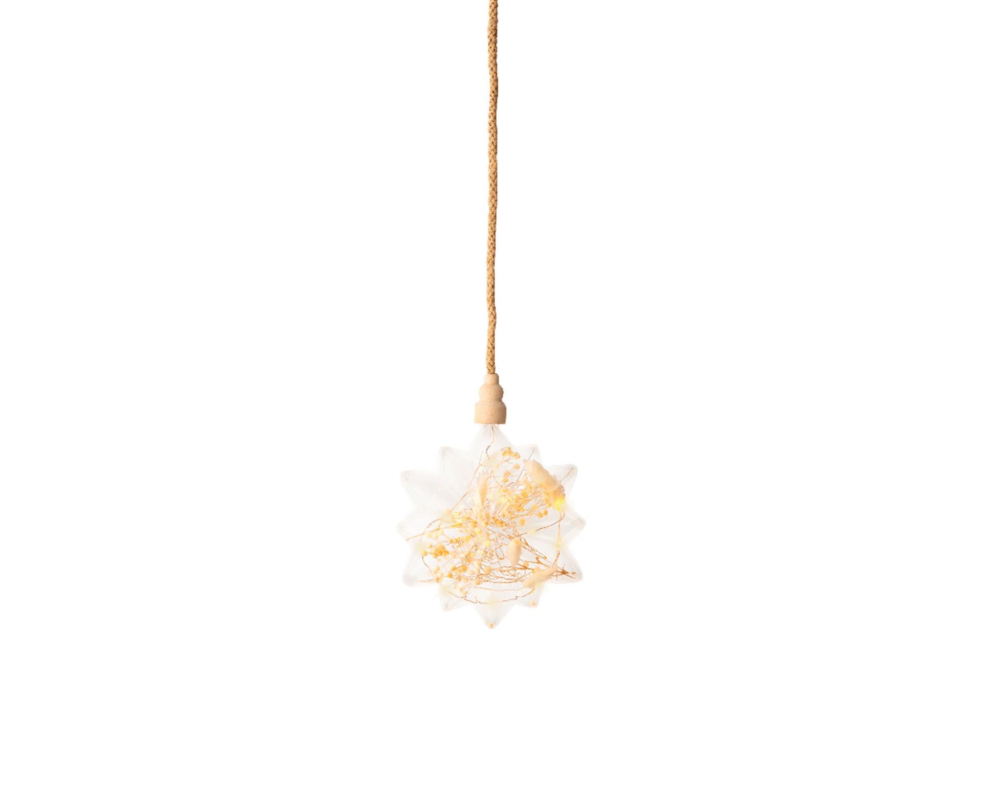 Lumineo Micro LED Stern mit Trockenblumen ø 19cm