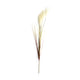 Dijk Natural Collections Kunstblumenfeder 78x10x3cm beige