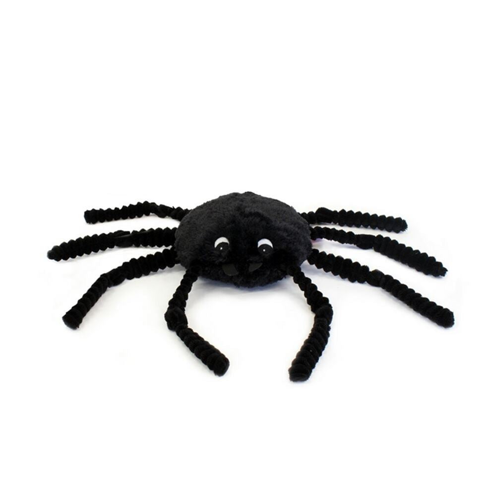 Ptipotos die schwarze Spinne 15 cm