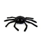 Ptipotos die schwarze Spinne 15 cm