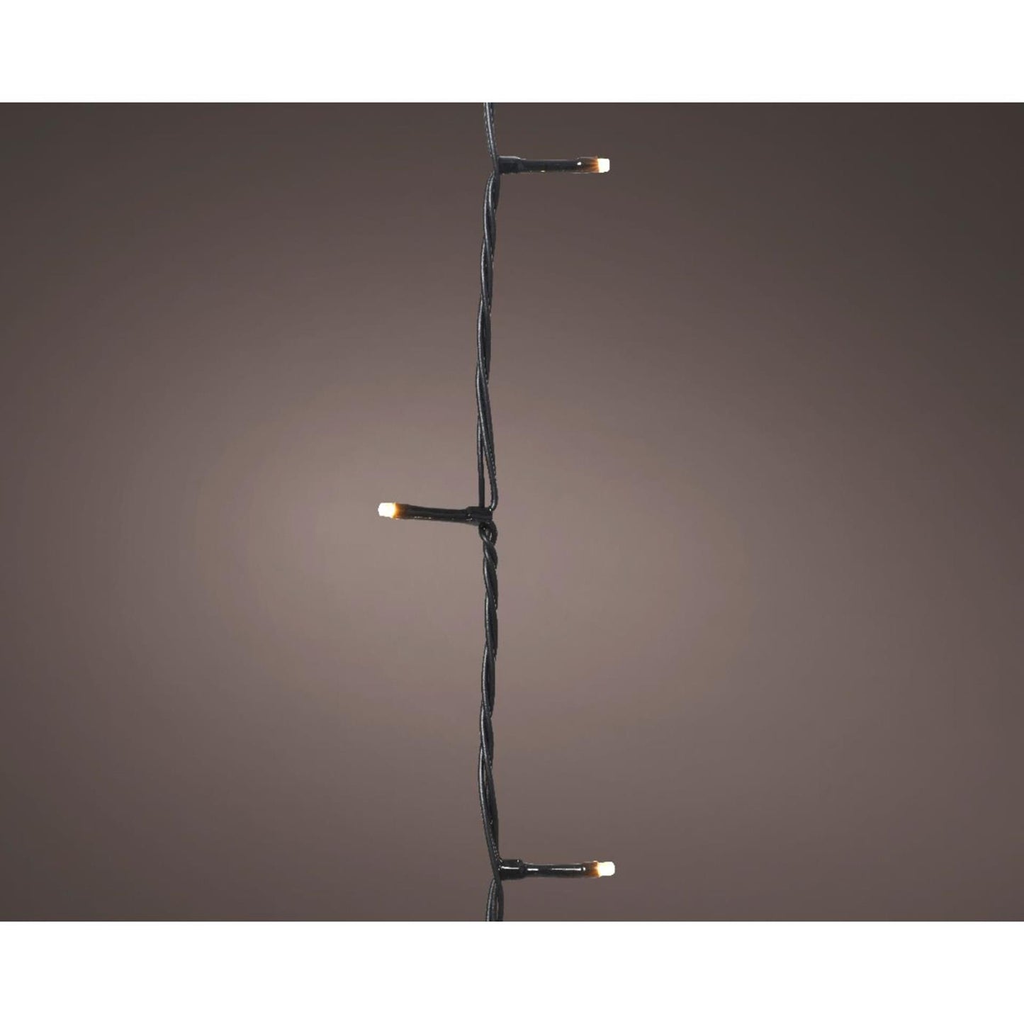 Lumineo Basic Weihnachtsbeleuchtung 240led Champagner