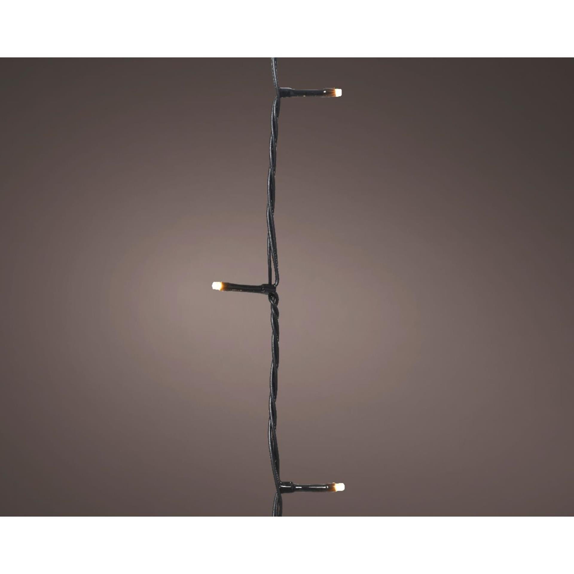 Lumineo Basic Weihnachtsbeleuchtung 240led Champagner