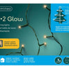 Lumineo Weihnachtsbeleuchtung 1-2 leuchtend 210cm 223xLED