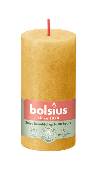 Bolsius Bolsius Stollen Shine 8 St rustikal 100x50 mm Honiggelb