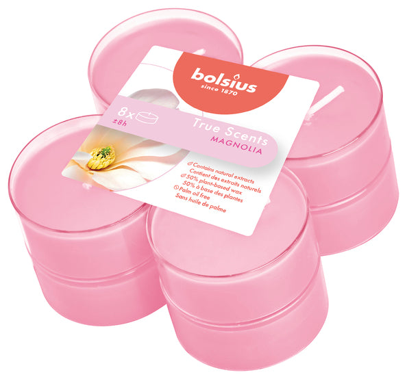 Bolsius Maxilichter True Scents Magnolia ø58x24 mm 8 Stunden (6x 8 Stück)