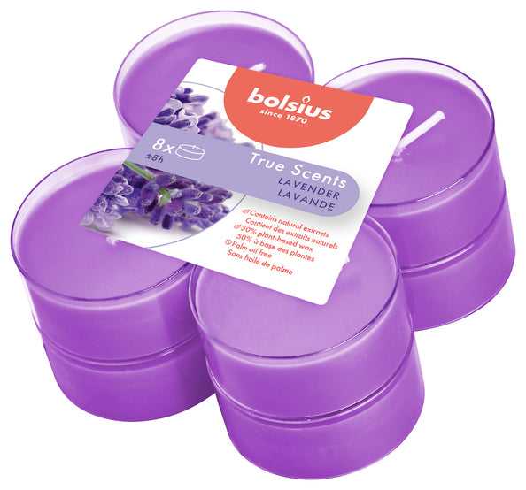Bolsius Maxilichter True Scents Lavendel ø58x24 mm 8 Stunden (6x 8 Stück)