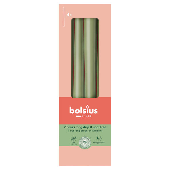 Bolsius Gothic-Kerzen Fresh Olive ø24x245 mm 7 Stunden (8x 4 Stück)