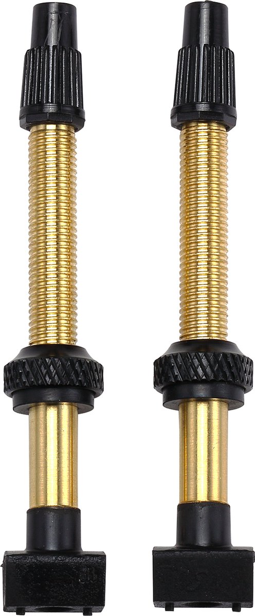 BBB Cycling Tubeless-Ventil für MTB und Rennrad – Länge: 48 mm – Tubeless-Ventile – Schwarz – BTI-159