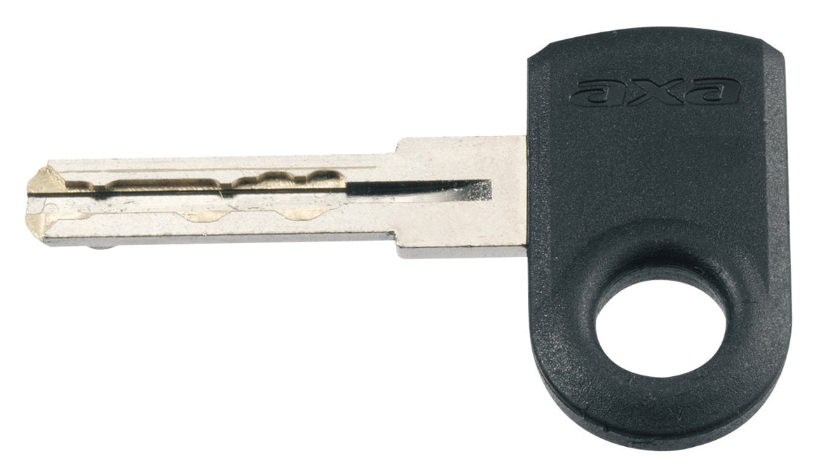 Ring -Lock -Verteidiger mit RLC 100 Insert Chain und