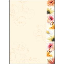 Designpapier Sigel DP788 Farbpalette