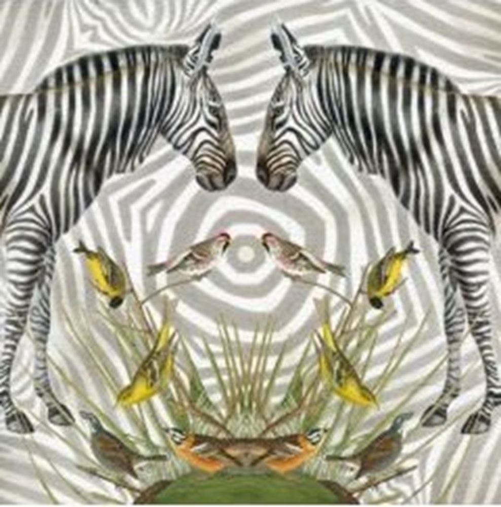 Karte+Umschlag Zebra. 16x16 cm