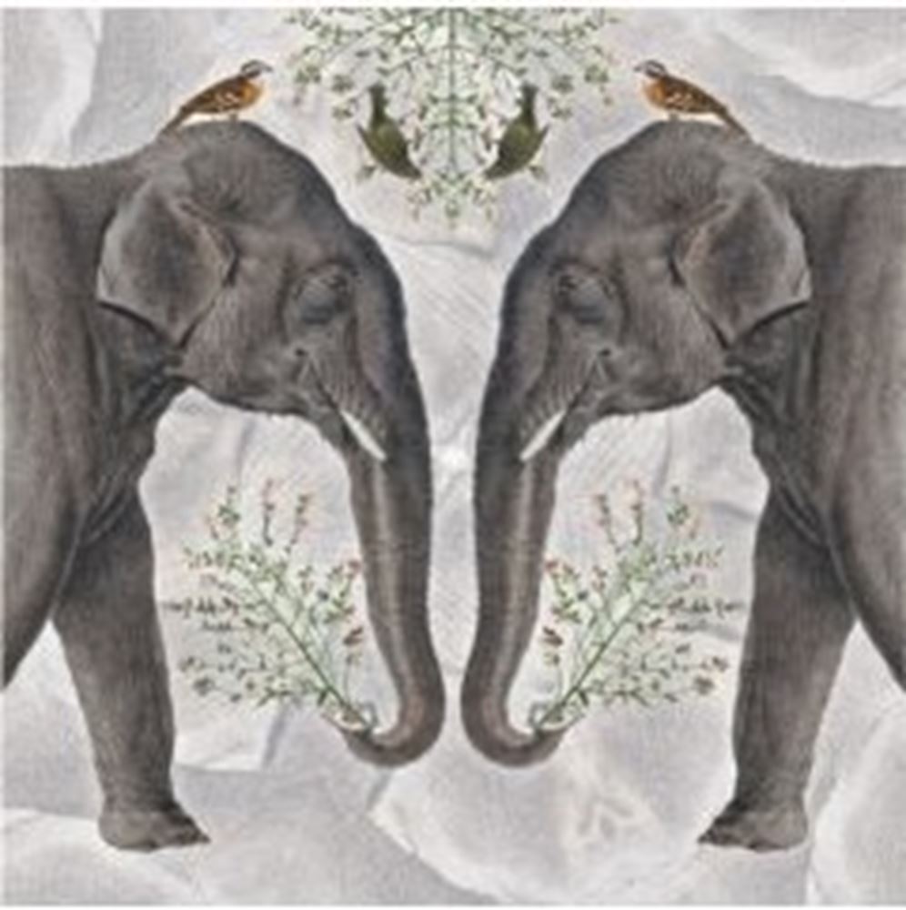 Karte+Umschlag Indischer Elefant. 16x16 cm