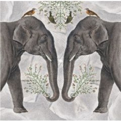 Karte+Umschlag Indischer Elefant. 16x16 cm