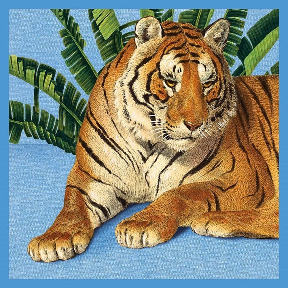 Karte+Umschlag Tiger. 16x16 cm