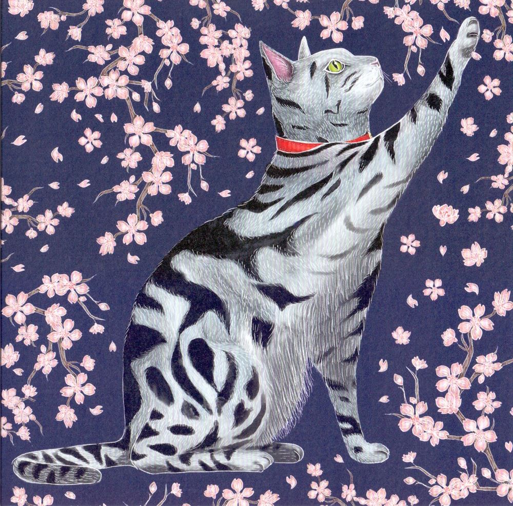 Karte+Umschlag. Sakura-Kätzchen. 16x16cm