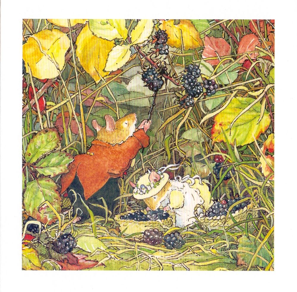 Karte+Umschlag. Brombeeren pflücken. 16x16 cm.