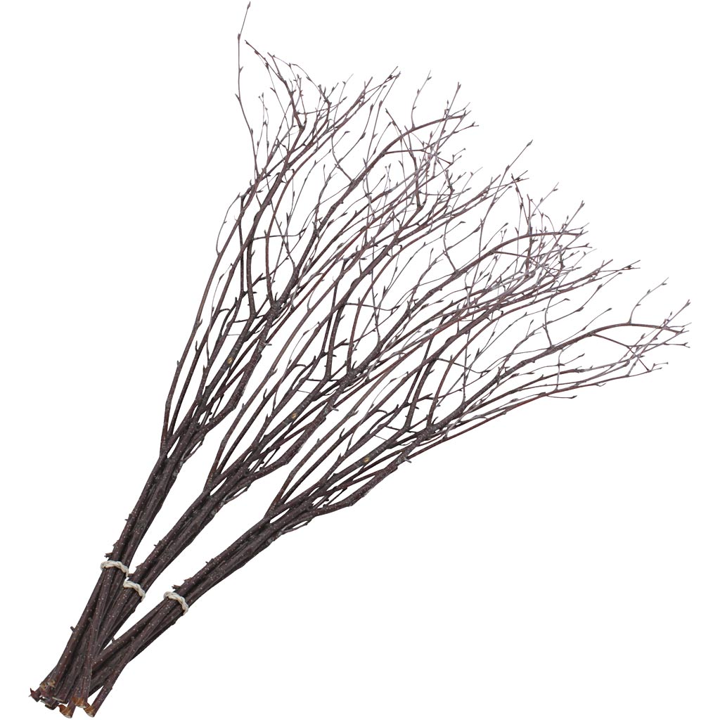 Birkenzweige, L: 50-60 cm, 20 Stück 1 Karton