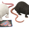Stretchratte 18 cm. 2 Sortiment. 3+