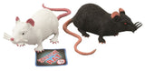 Stretchratte 18 cm. 2 Sortiment. 3+ - afbeelding 1