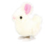 Laufendes springendes Kaninchen. 3+