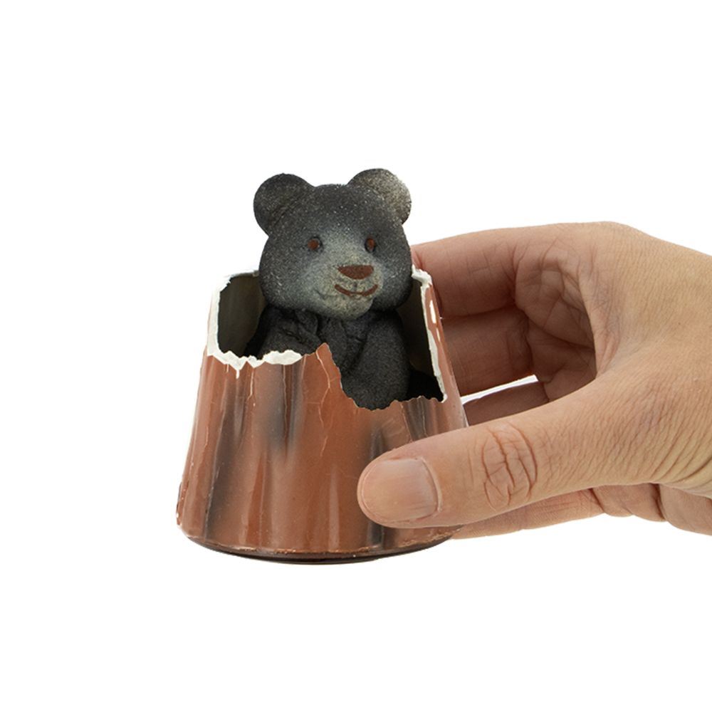 Bär wachsen lassen. 12 Stück. 3+