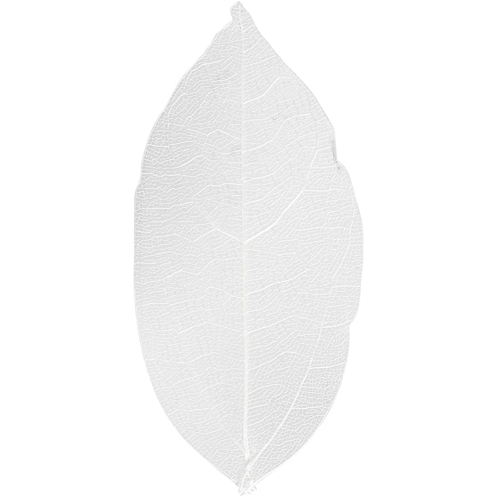 Creativ Company Skelettblätter, L: 6-8 cm, weiß, 20 Stück 1 Box