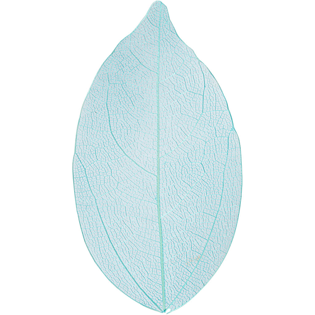 Creativ Company Skelettblätter, L: 6-8 cm, hellblau, 20 Stück 1 Box