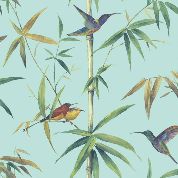 Noordwand noordwand wallpaper kolibri und bambus türkis