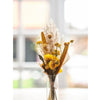 Dijk Natural Collections Briefkastenpaket Trockenblumen 36x3cm