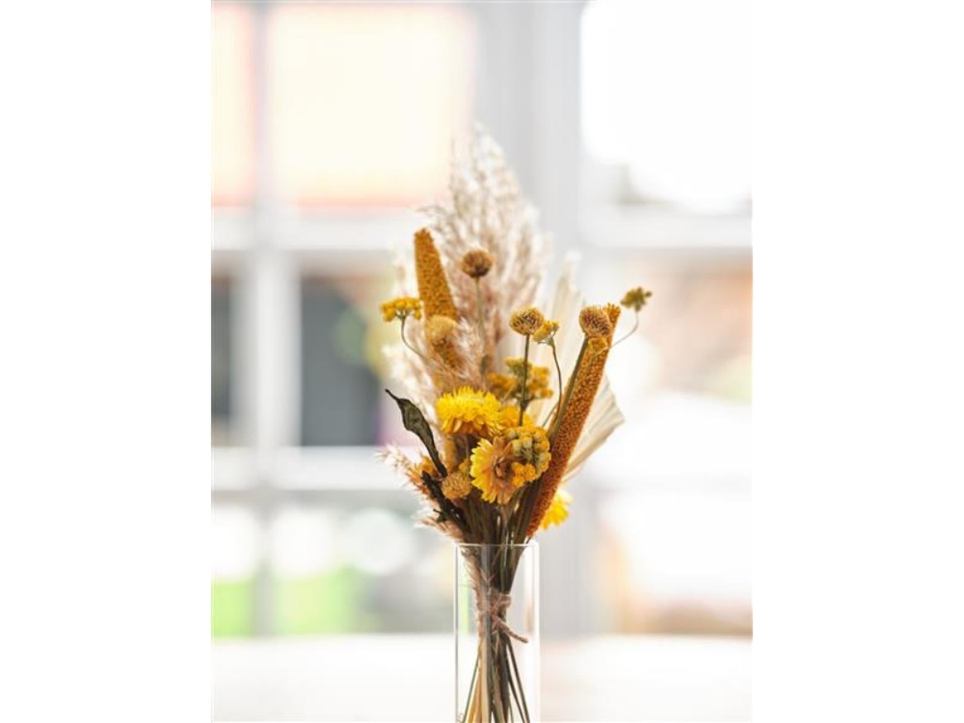 Dijk Natural Collections Briefkastenpaket Trockenblumen 36x3cm