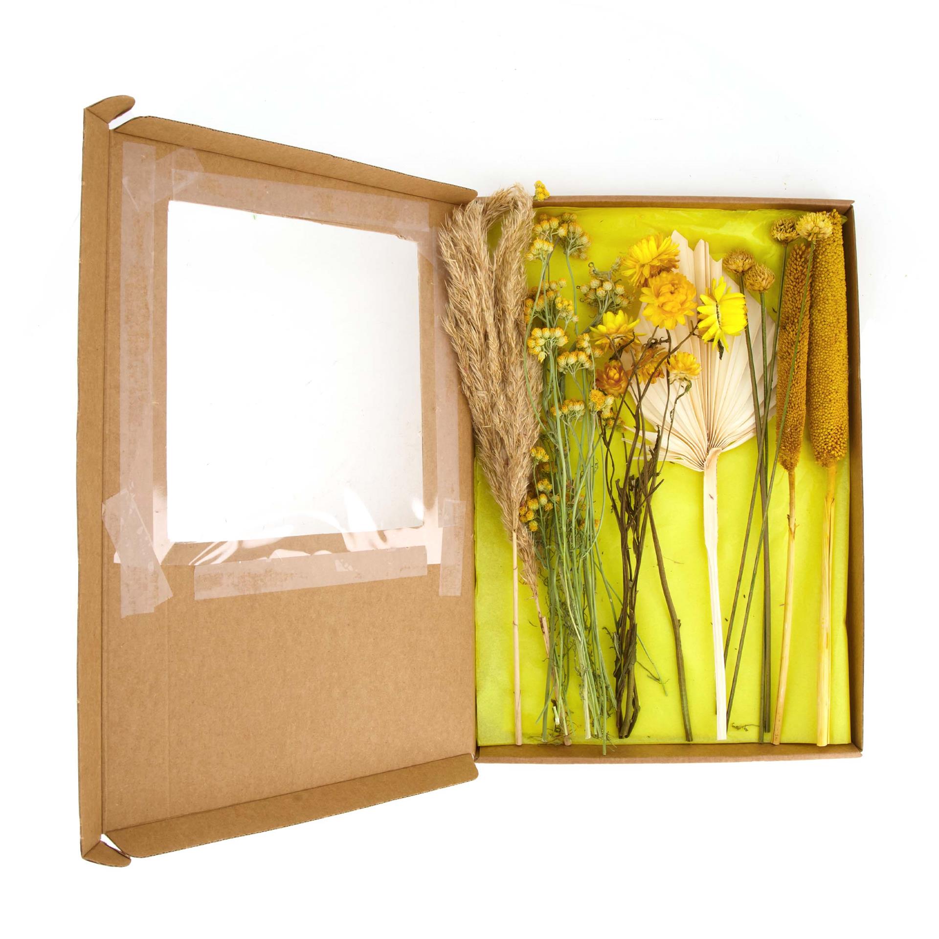 Dijk Natural Collections Briefkastenpaket Trockenblumen 36x3cm
