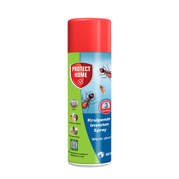 Pro-tect 1076860 – Kriechendes Insektenspray 400 mlprotect home | 2 Stk