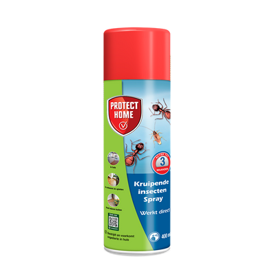 Pro-tect 1076860 – Kriechendes Insektenspray 400 mlprotect home | 2 Stk