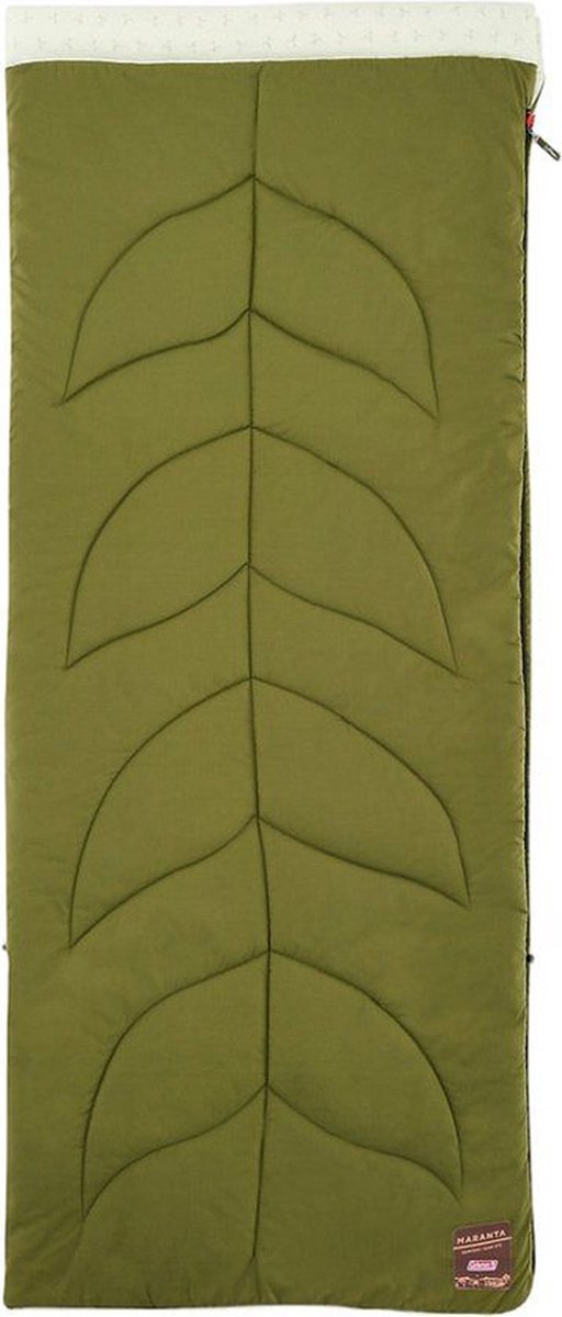 Coleman Maranta L Schlafsack – 205 x 85 cm – grün