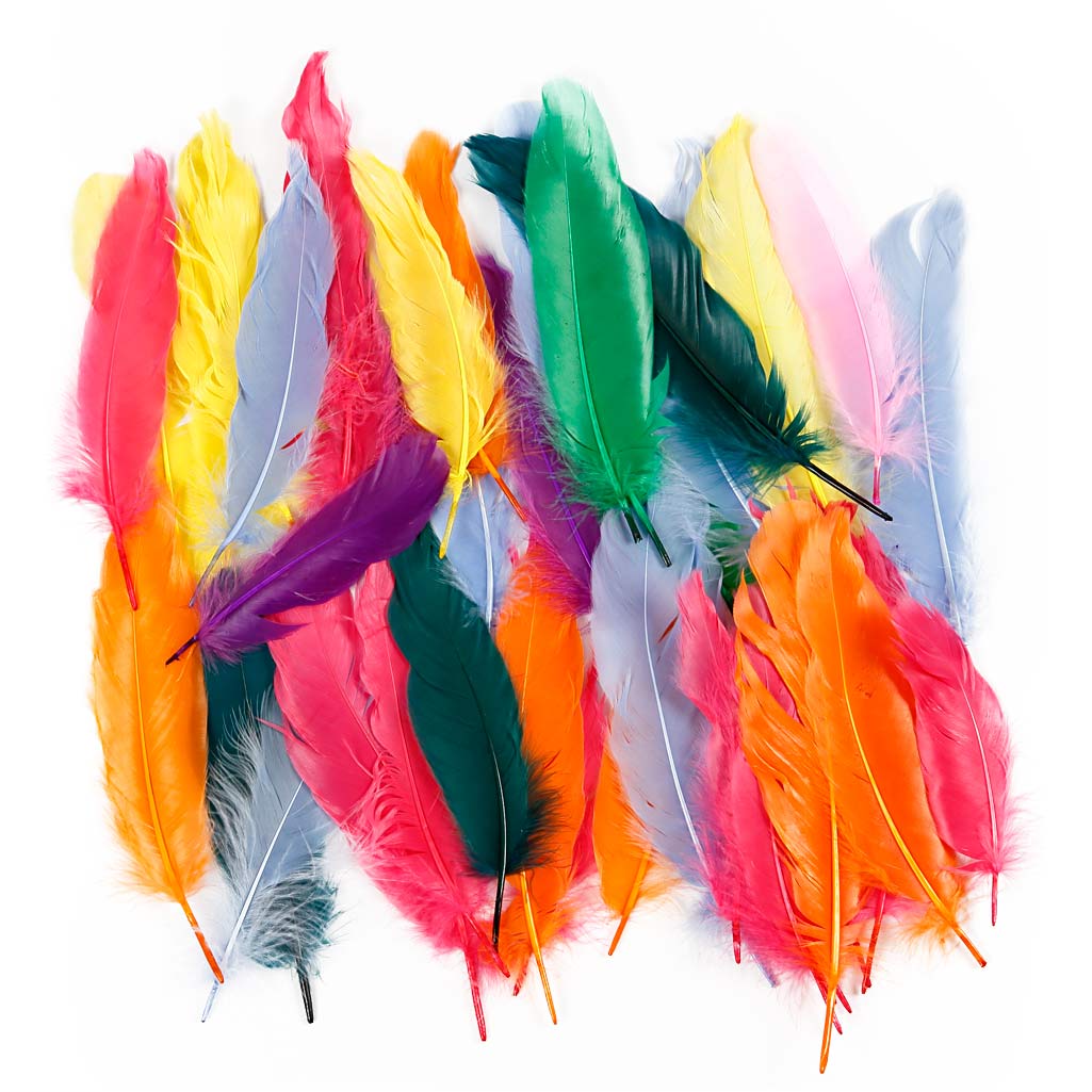 Creativ Company Federn, L: 12-15 cm, verschiedene Farben, 350 Stück 1 Box