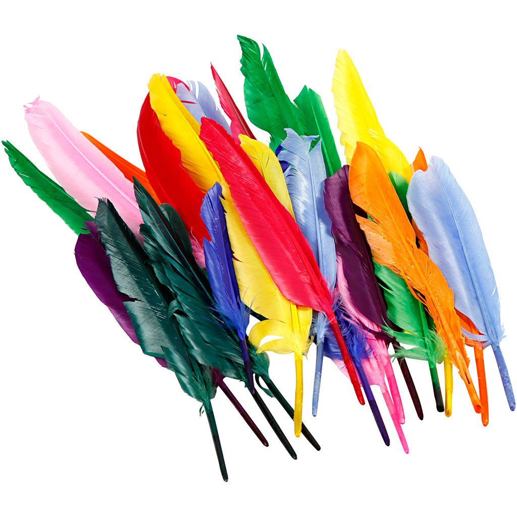 Creativ Company Federn, L: 17-20 cm, 250 Stück 1 Box