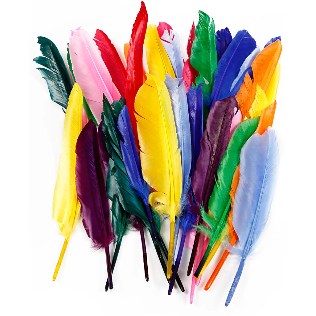 Creativ Company Federn, L: 17-20 cm, 250 Stück 1 Box