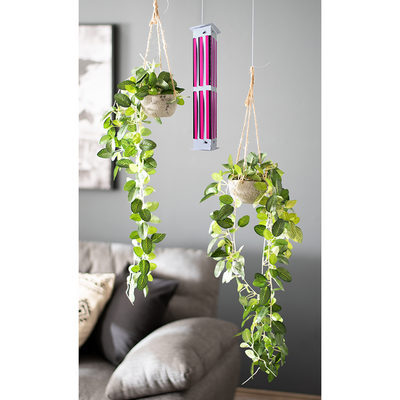 Luxan 1075220 - Fliegenturm 3D 2 Stück | 1 Stk