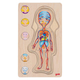 Goki Holzschicht Puzzle Human Body Girl, 29. - afbeelding 3