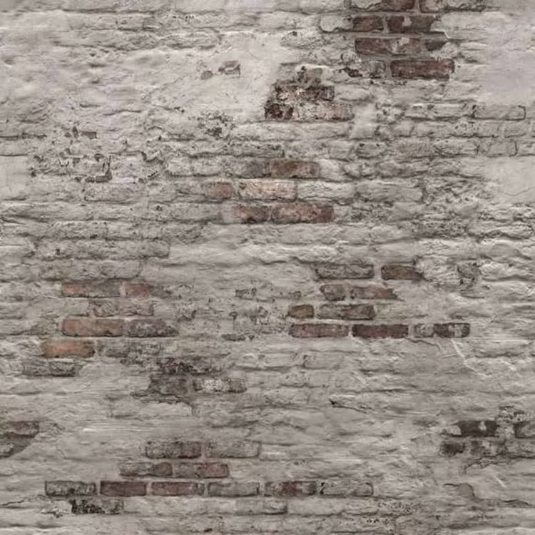 Niederländische Wandverkleidung niederländische Wandverkaufsfoto alte Backsteinmauer Grau