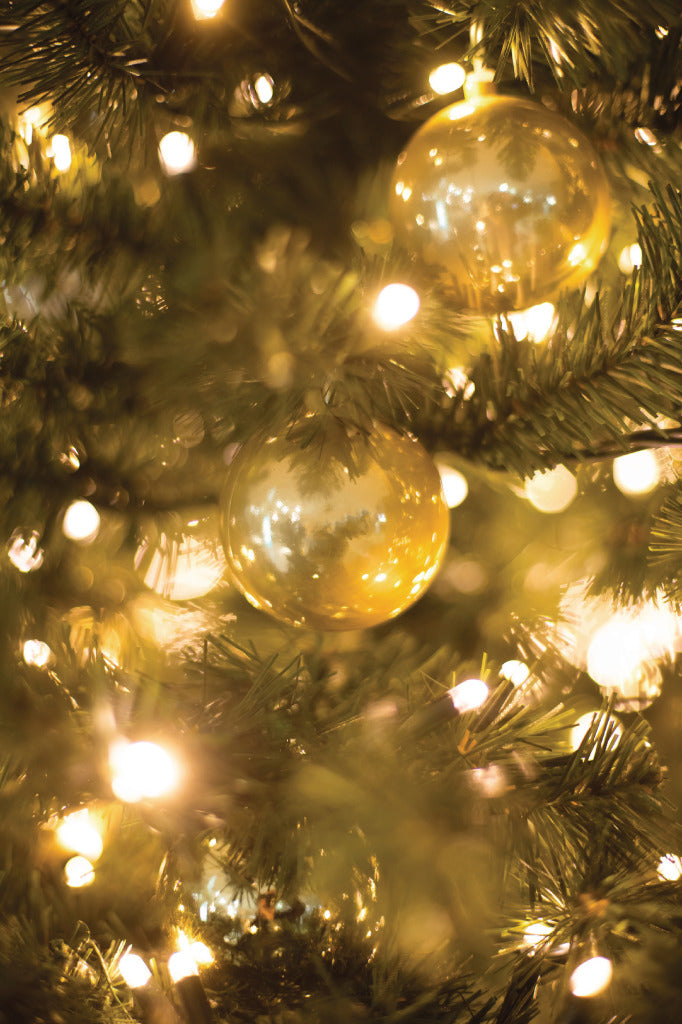HQ HQ HQCLS48660 Weihnachtsbeleuchtung 100 LEDs 3W 9,42 m warmes Weiß innen