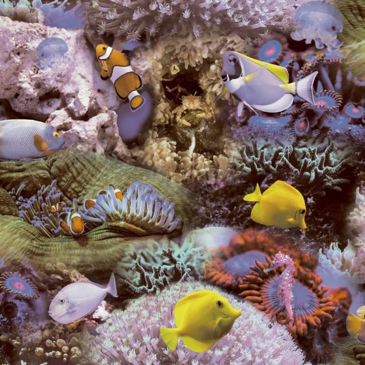 Noordwand Noordwand Tapete gute Stimmung Korallen und tropische Fische Geel und Lila