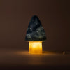 Egmont Lampenpilzjeans mit Dimmer