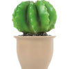 Egmont Lampenkaktus im Blumentopf 27x16,5