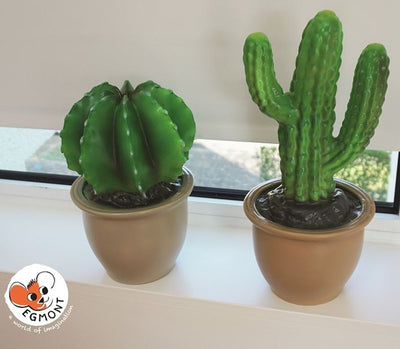 Egmont Lampenkaktus im Blumentopf 27x16,5