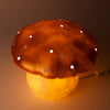 Egmont Lampenpilz Kupfer + Dimmer.
