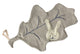 Kuscheltuch Doudou Baumblatt 36 cm