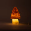 Egmont Lampenpilz Flieder + Dimmer.